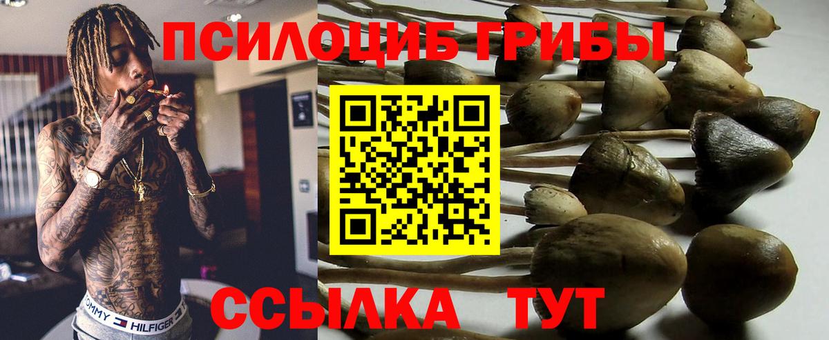 Галлюциногенные грибы GOLDEN TEACHER Донской