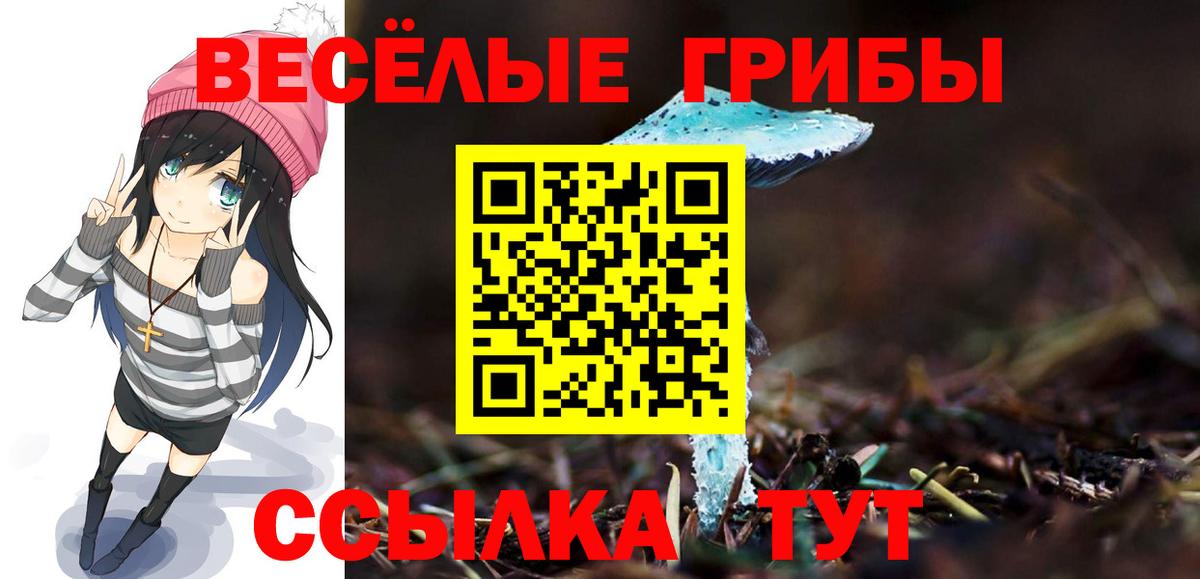 Галлюциногенные грибы прущие грибы  Вход с VPN  Донской 